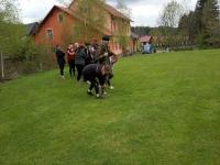 IMG_20230513_144721 (1024x768).jpg